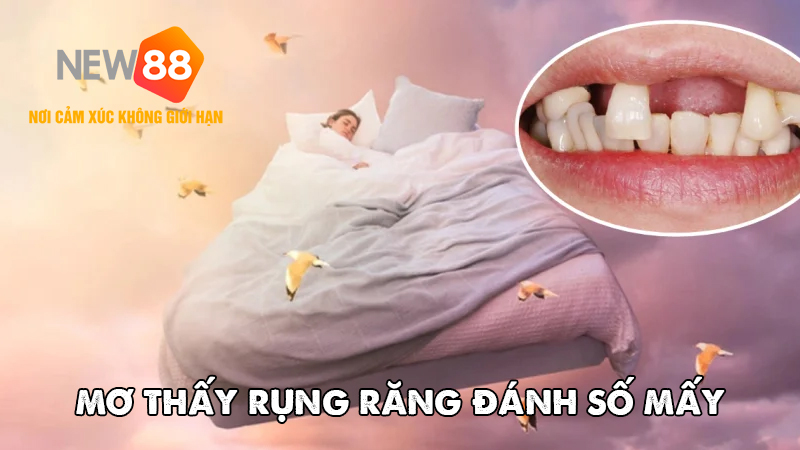 Mơ thấy rụng răng đánh số mấy?