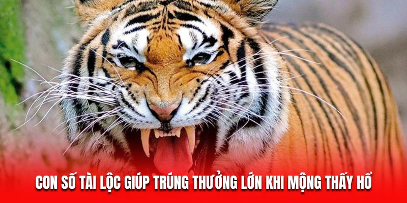 Con số tài lộc giúp trúng thưởng lớn khi mộng thấy hổ