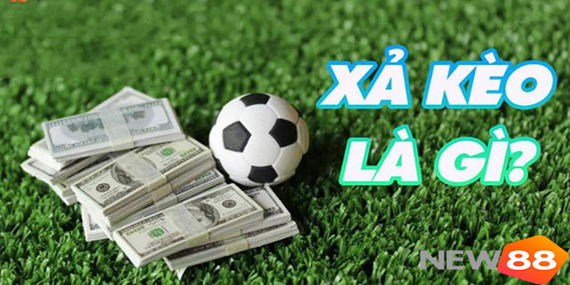 Xả Kèo Là Gì? New88 Hướng Dẫn Xả Kèo Bóng Đá Hiệu Quả